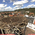 13_45-nest.jpg