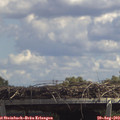 13_50-mast.jpg