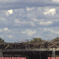13_55-mast.jpg