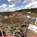 13_55-nest.jpg