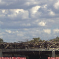 14_00-mast.jpg