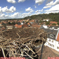14_00-nest.jpg