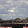 14_05-mast.jpg