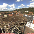 14_05-nest.jpg