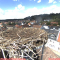 14_10-nest.jpg