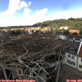 14_20-nest.jpg