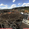 14_25-nest.jpg