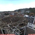 14_30-nest.jpg