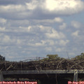 14_35-mast.jpg