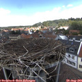 14_40-nest.jpg