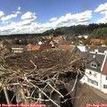 14_45-nest.jpg