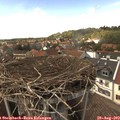 14_55-nest.jpg