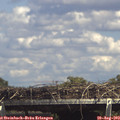 15_00-mast.jpg