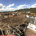 15_00-nest.jpg