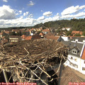 15_05-nest.jpg