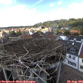 15_10-nest.jpg