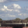 15_15-mast.jpg