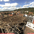 15_15-nest.jpg