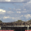 15_20-mast.jpg