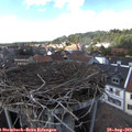 15_25-nest.jpg