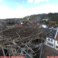 15_30-nest.jpg