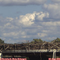 15_35-mast.jpg