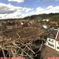 15_40-nest.jpg