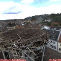 15_45-nest.jpg