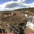 15_50-nest.jpg