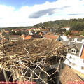 15_55-nest.jpg