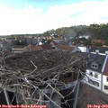 16_00-nest.jpg