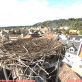 16_10-nest.jpg