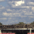 16_15-mast.jpg