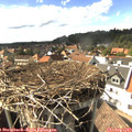 16_15-nest.jpg