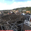 16_25-nest.jpg