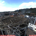 16_30-nest.jpg
