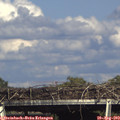 16_35-mast.jpg