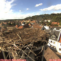16_35-nest.jpg