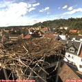 16_40-nest.jpg