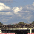 16_45-mast.jpg