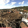 16_45-nest.jpg