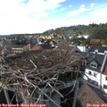16_50-nest.jpg