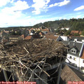 16_55-nest.jpg