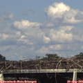 17_00-mast.jpg