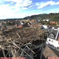 17_00-nest.jpg