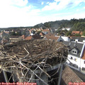 17_05-nest.jpg