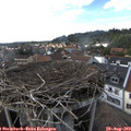 17_10-nest.jpg