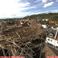 17_15-nest.jpg