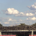 17_20-mast.jpg