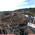 17_20-nest.jpg